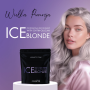 PROFIS ICE BLONDE bezpyłowy 9 tonowy rozjaśniacz do włosów 500 g - 4