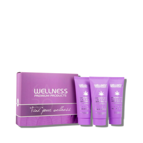 WELLNESS PREMIUM SILVER mini zestaw neutralizujący odcienie 3 x 50 ml