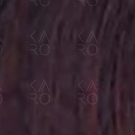 VERSUM EASY TECH profesjonalna trwała farba do włosów 100 ml | 5.32 - 2