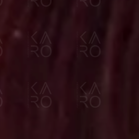 VERSUM EASY TECH profesjonalna trwała farba do włosów 100 ml | 5.4 - 2