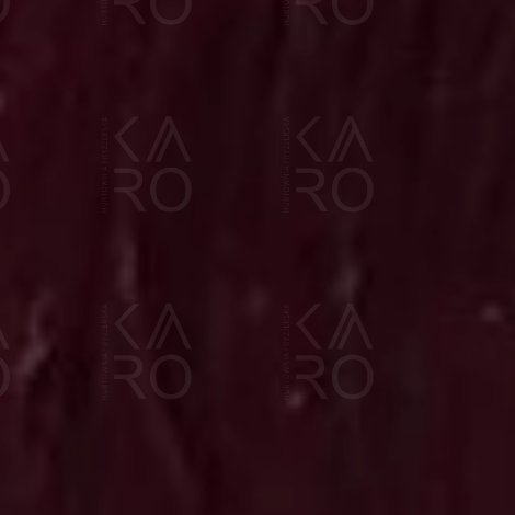 VERSUM EASY TECH profesjonalna trwała farba do włosów 100 ml | 5.45 - 2