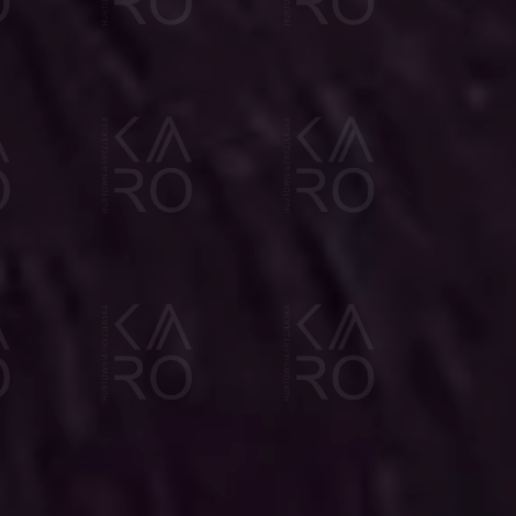 VERSUM EASY TECH profesjonalna trwała farba do włosów 100 ml | 5.46 - 2