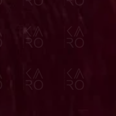 VERSUM EASY TECH profesjonalna trwała farba do włosów 100 ml | 5.6 - 2