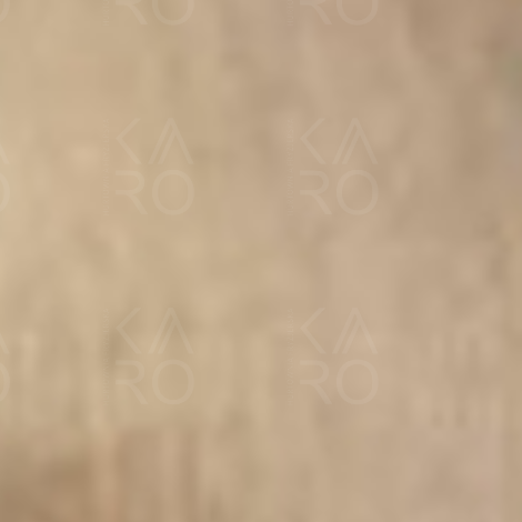 VERSUM EASY TECH trwała farba do włosów bez amoniaku 100 ml | 10.3 - 2