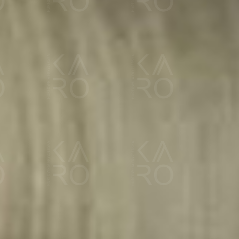 VERSUM EASY TECH trwała farba do włosów bez amoniaku 100 ml | 11.0 - 2