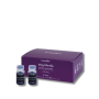 BY FAMA WONDHER Stay Blonde fluid neutralizujący ampułki 24 x 10 ml - 2