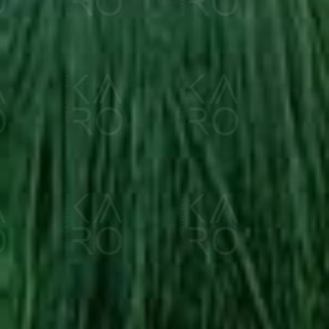 BE HAIR BE COLOR 12 MINUTE trwała farba do włosów 100 ml | mix Green - 2