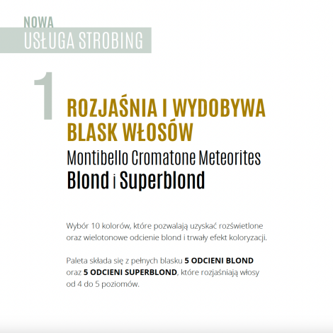 MONTIBELLO CROMATONE METEORITES Toner rozświetlający 60 ml | Platinum Nacre - 5