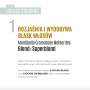 MONTIBELLO CROMATONE METEORITES Toner rozświetlający 60 ml | Titanium Grey - 6