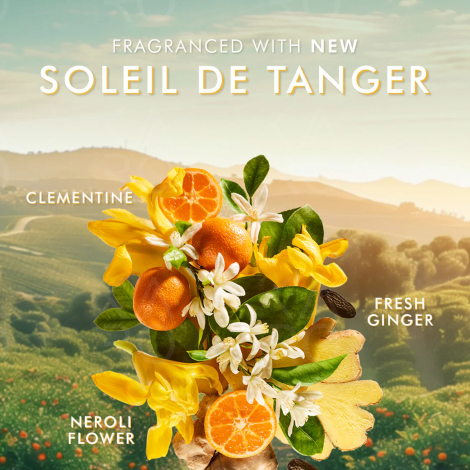 MOROCCANOIL BODY Hand Wash mydło do rąk w płynie 360 ml | Soleil de Tanger - 4