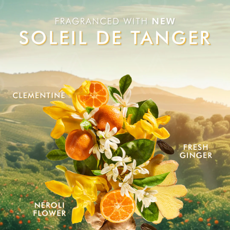 MOROCCANOIL BODY Lotion balsam do ciała 360 ml | Soleil de Tanger - 4