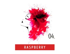 FUNKY COLOR toner odżywka koloryzująca w kremie 100 ml | 04 Raspberry - image 2
