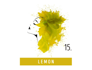 FUNKY COLOR toner odżywka koloryzująca w kremie 100 ml | 15 Lemon - image 2