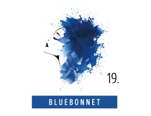 FUNKY COLOR toner odżywka koloryzująca w kremie 100 ml | 19 Bluebonnet - image 2