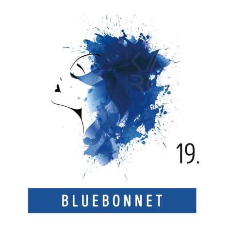FUNKY COLOR toner odżywka koloryzująca w kremie 100 ml | 19 Bluebonnet - 2