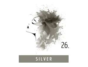 FUNKY COLOR toner odżywka koloryzująca w kremie 100 ml | 26 Silver - image 2