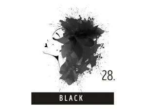 FUNKY COLOR toner odżywka koloryzująca w kremie 100 ml | 28 Black - image 2