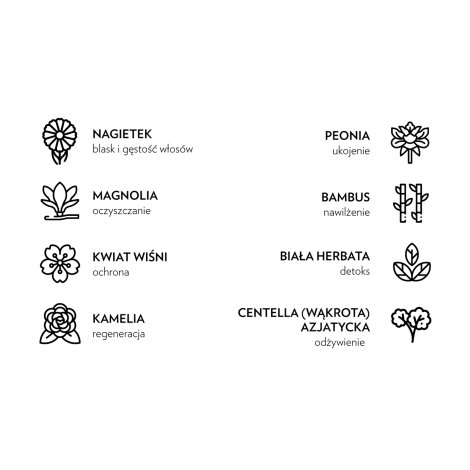 MONTIBELLO DENUEE naturalna farba do włosów bez amoniaku 60 ml | 10.3 - 3