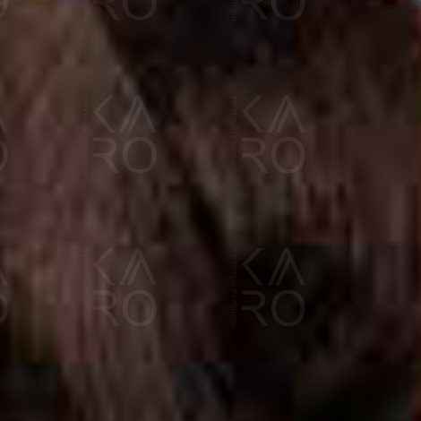 BY FAMA ABSOLUTE profesjonalna trwała farba do włosów 80 ml | 5.32 - 2