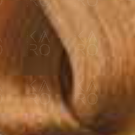 BY FAMA ABSOLUTE profesjonalna trwała farba do włosów 80 ml | 7.34 - 2