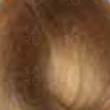 BY FAMA ABSOLUTE profesjonalna trwała farba do włosów 80 ml | 9.32 - 2