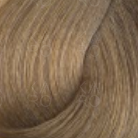 FAIPA ROMA SICURA PROFESSIONAL Creme Color farba do włosów 120 ml | 10N - 2