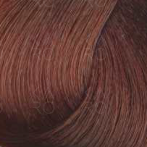 FAIPA ROMA SICURA PROFESSIONAL Creme Color farba do włosów 120 ml | 6.43 - 2