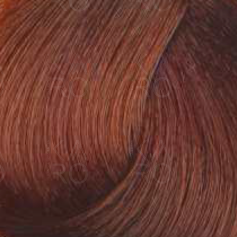 FAIPA ROMA SICURA PROFESSIONAL Creme Color farba do włosów 120 ml | 7.43 - 2