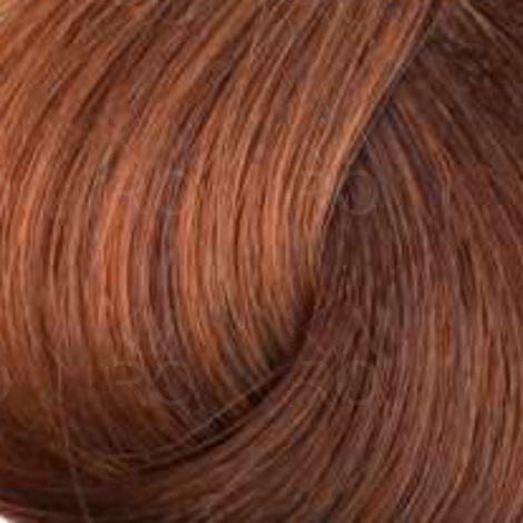 FAIPA ROMA SICURA PROFESSIONAL Creme Color farba do włosów 120 ml | 8.4 - 2