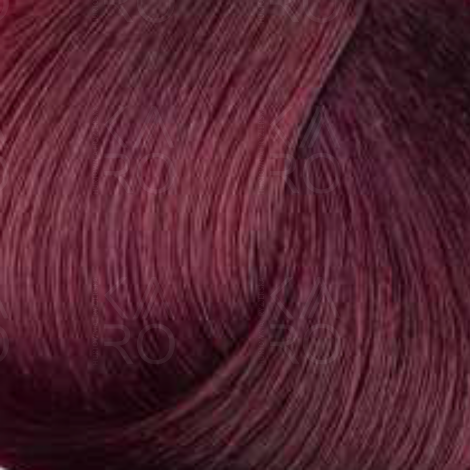 FAIPA ROMA SICURA PROFESSIONAL Creme Color farba do włosów 120 ml | 8.5 - 2