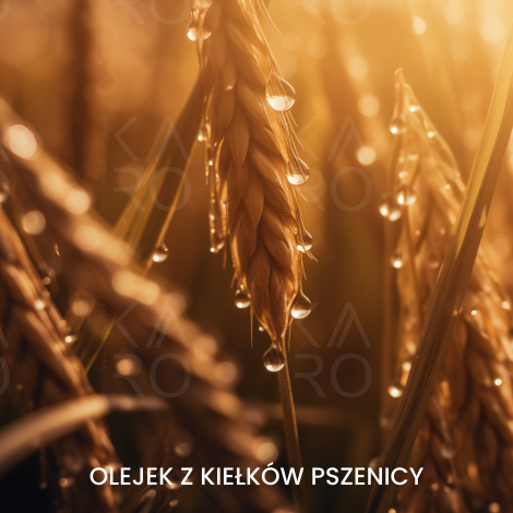 FAIPA ROMA SICURA PROFESSIONAL Creme Color farba do włosów 120 ml | 900 - 5